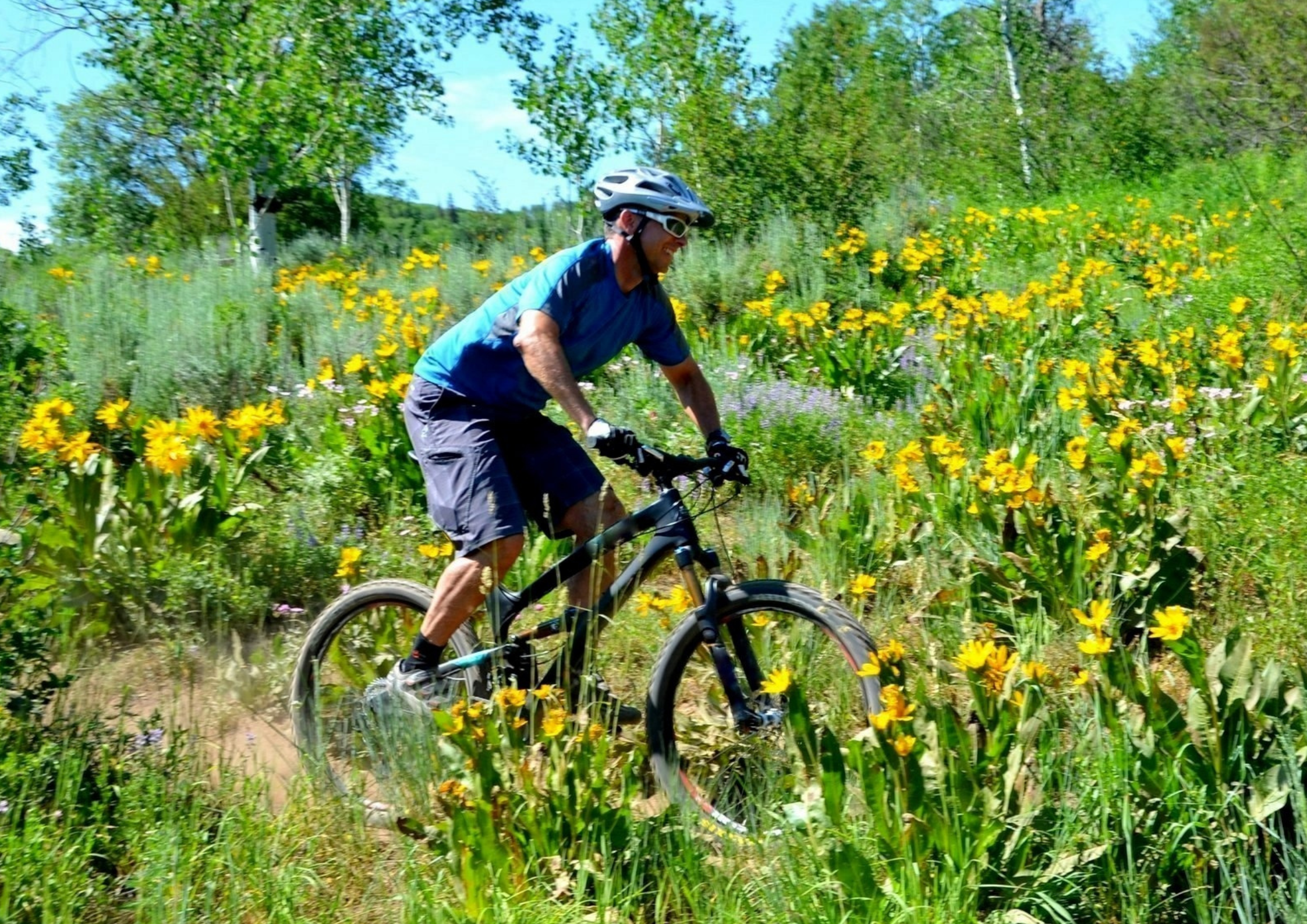 Holistic Seasonal Allergy Support For the Active Adult