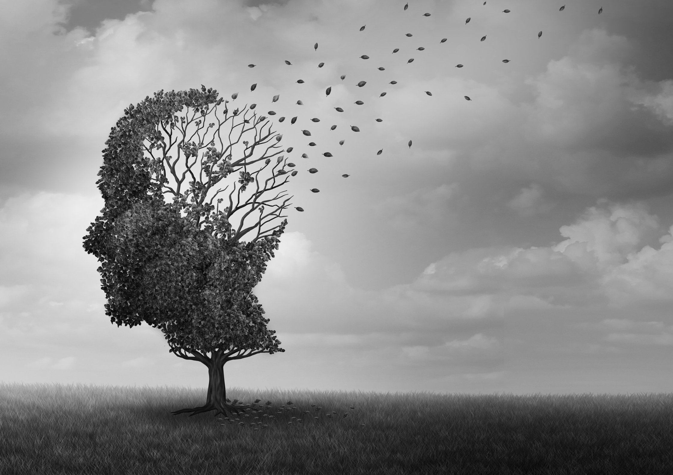 The Insulin-Alzheimer’s Link: How to Support Your Brain Health
